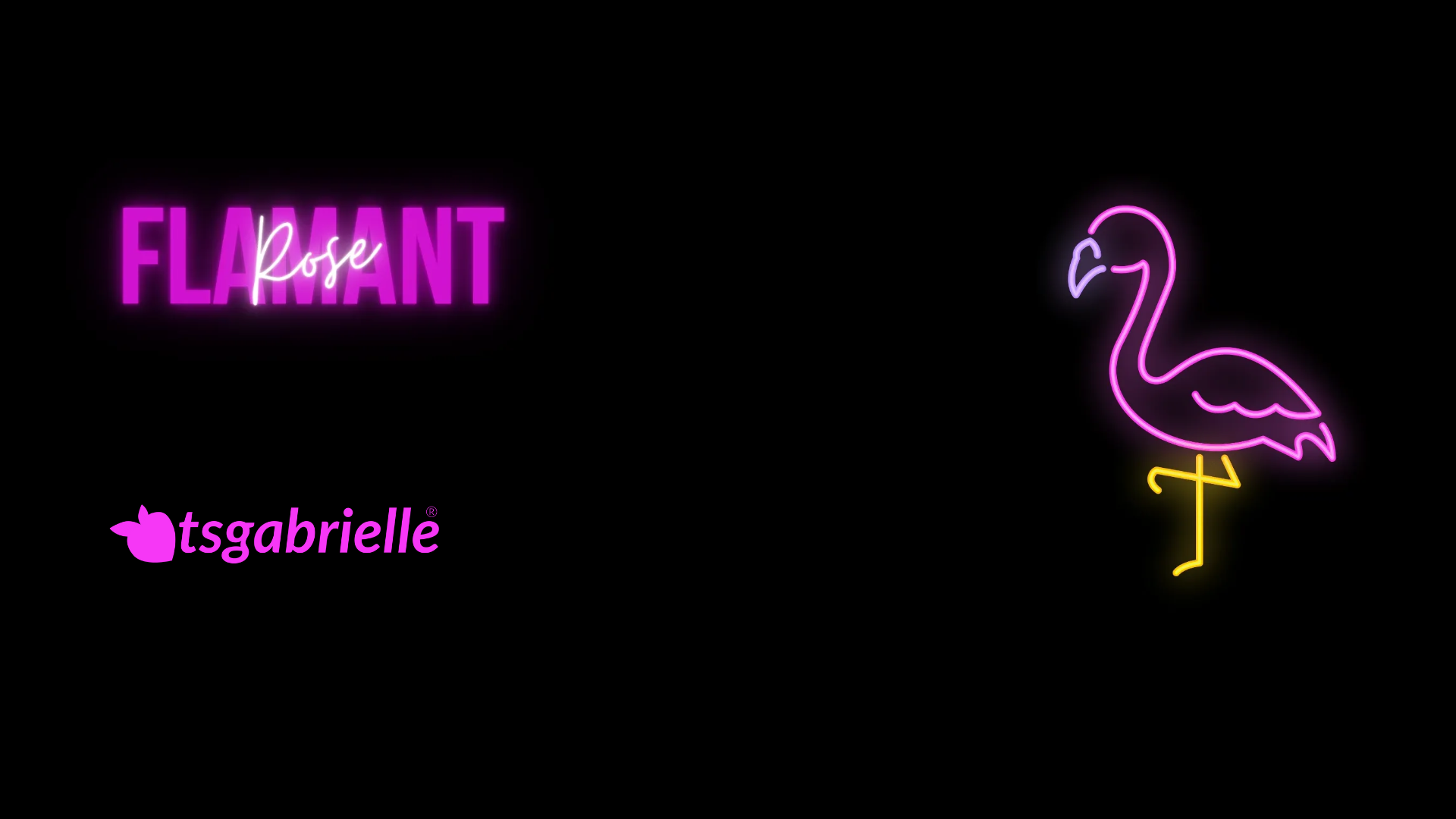 Neon sign of a flamingo with 'Flamant Rose' and 'tsgabrielle' text on a black background