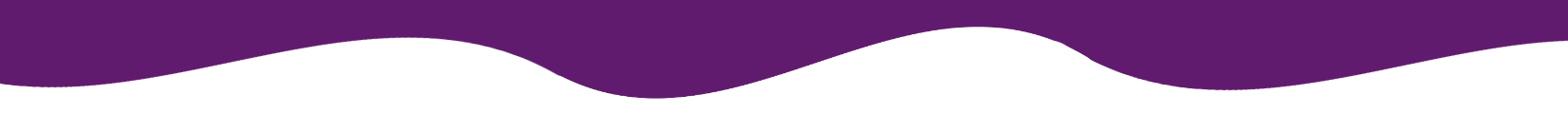 Wavy purple line on a white background