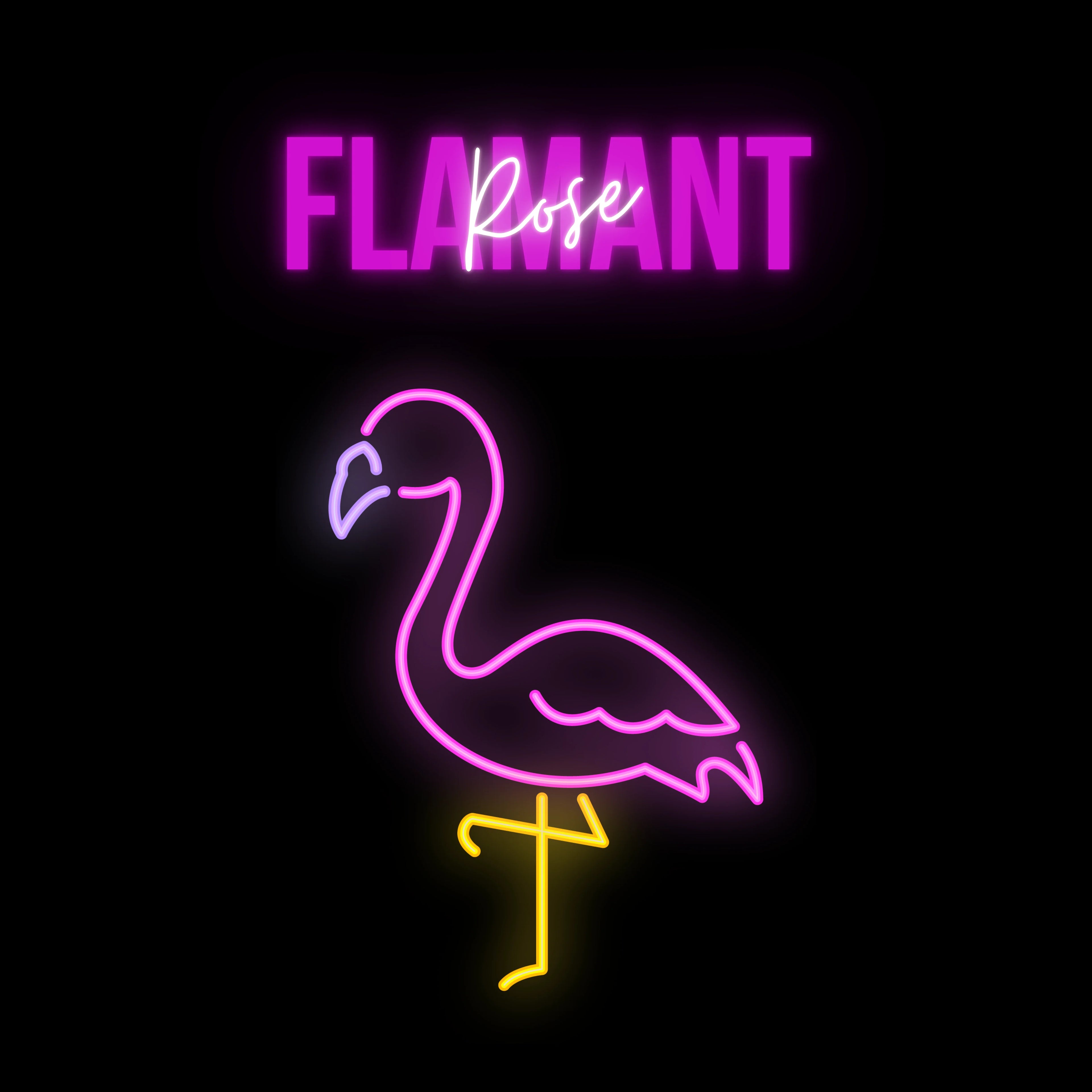 tsgabrielle® • Flamant Rose • Pickleball-Schläger-Set