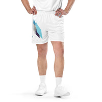 tsgabrielle® • For Him 👔 • Crystal Skies • Mesh Shorts •