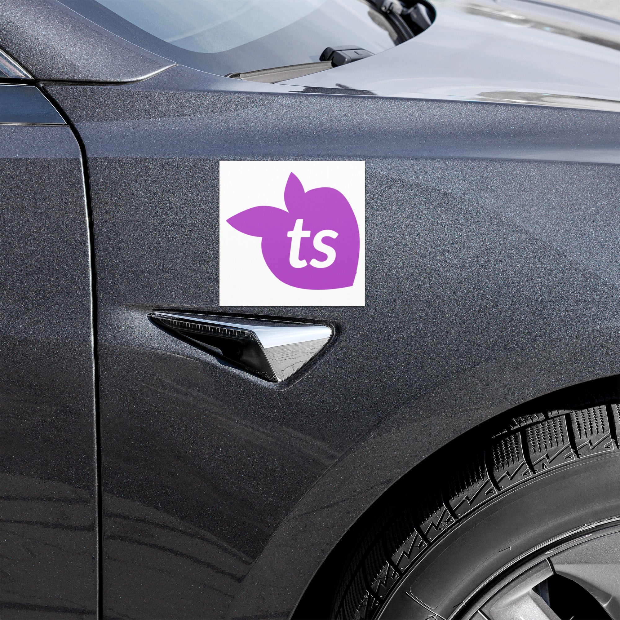 tsgabrielle® • Automagnete • Weiß • Einheitsgrößen