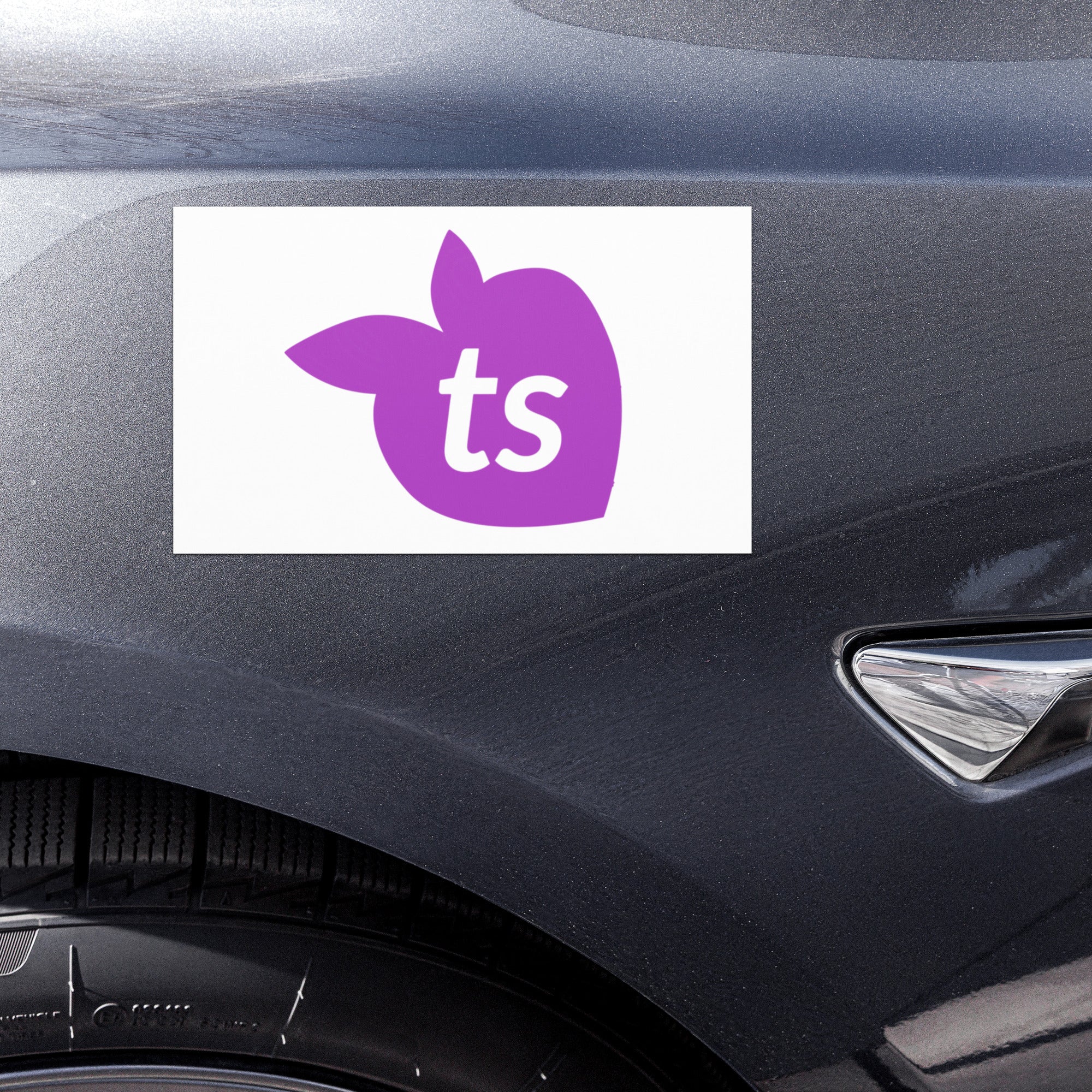 tsgabrielle® • Automagnete • Weiß • Einheitsgrößen