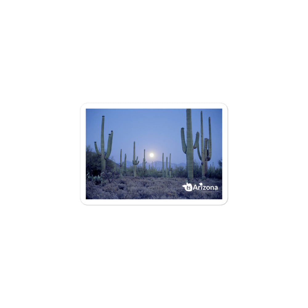 tsgabrielle® • Arizona - Parc national de Saguaro • Autocollant sans bulles • 3 tailles