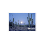 tsgabrielle® • Arizona - Saguaro National Park • Sticker Bubble-Free • 3 Sizes