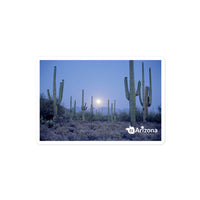 tsgabrielle® • Arizona - Parc national de Saguaro • Autocollant sans bulles • 3 tailles