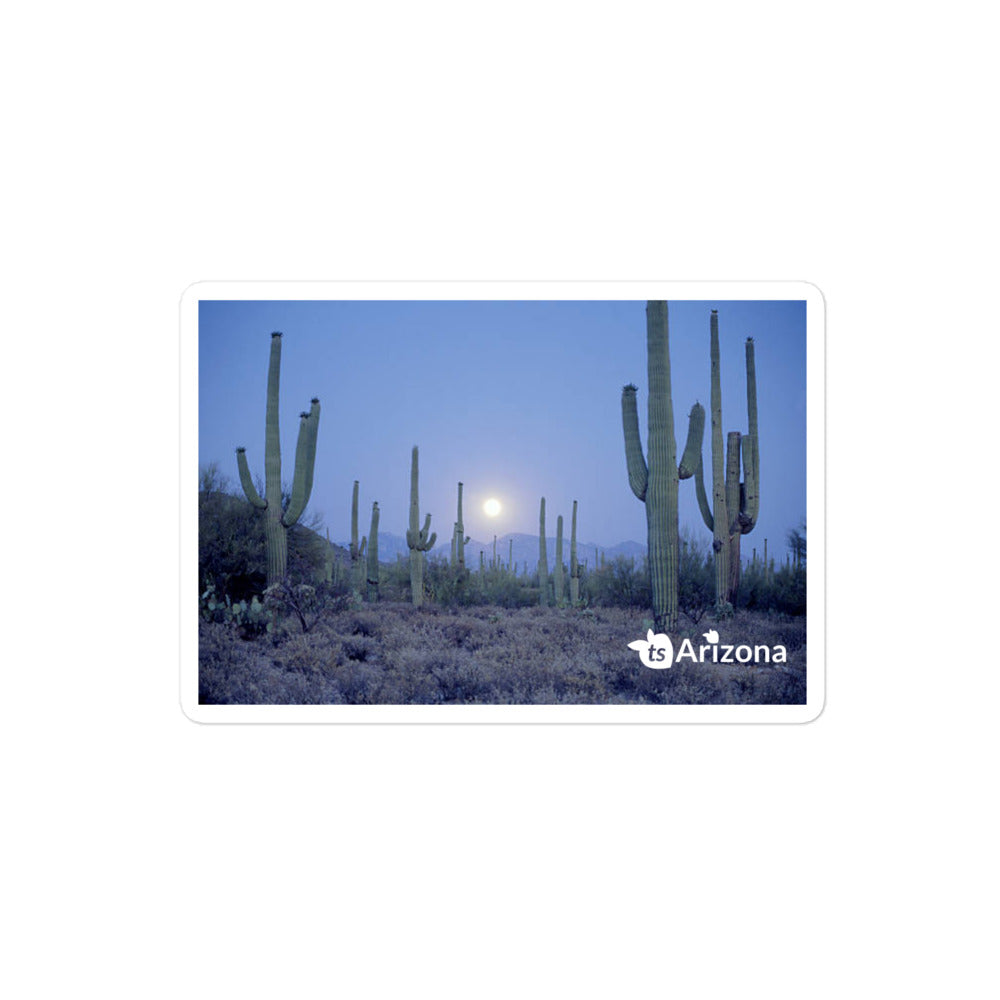 tsgabrielle® • Arizona - Parc national de Saguaro • Autocollant sans bulles • 3 tailles