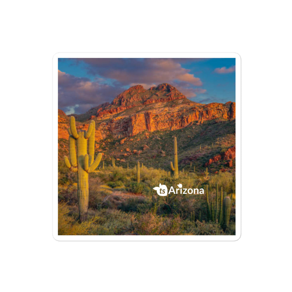 tsgabrielle® • Arizona - Tucson Mountain Range • Blasenfreier Aufkleber • 3 Größen