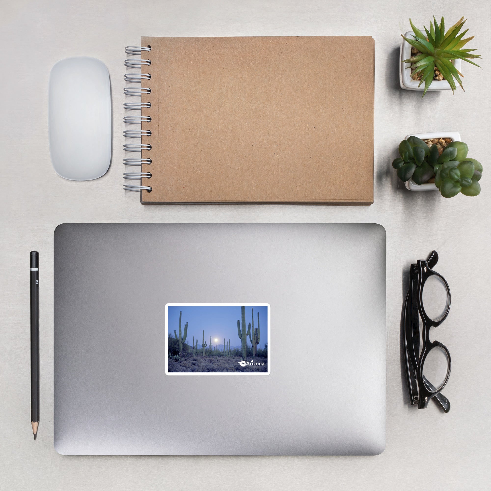 tsgabrielle® • Arizona - Saguaro National Park • Sticker Bubble-Free • 3 Sizes