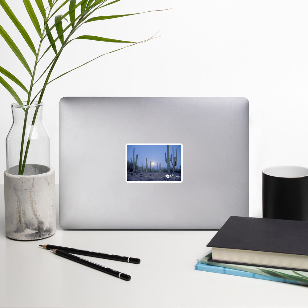 tsgabrielle® • Arizona - Saguaro National Park • Sticker Bubble-Free • 3 Sizes
