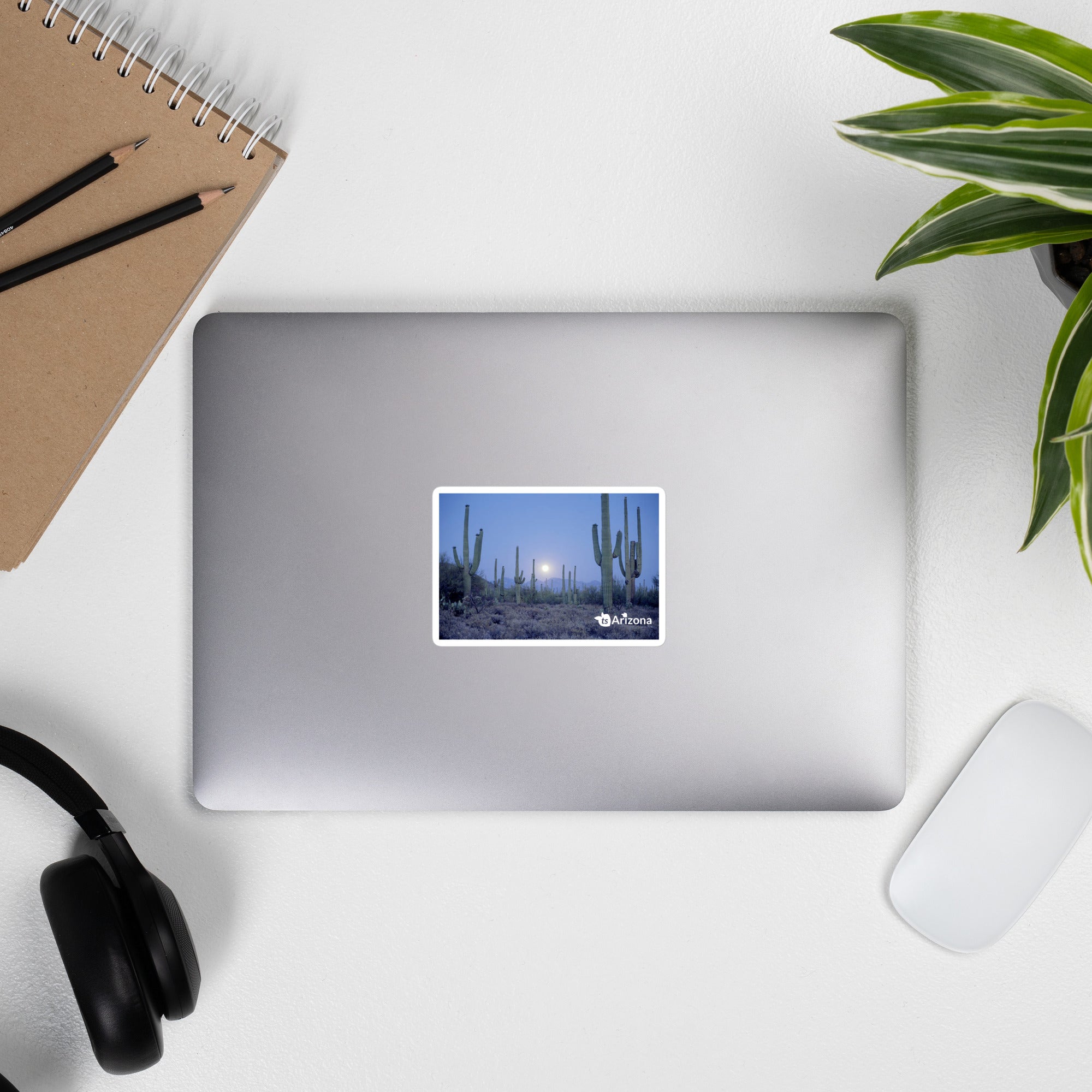 tsgabrielle® • Arizona - Saguaro National Park • Sticker Bubble-Free • 3 Sizes