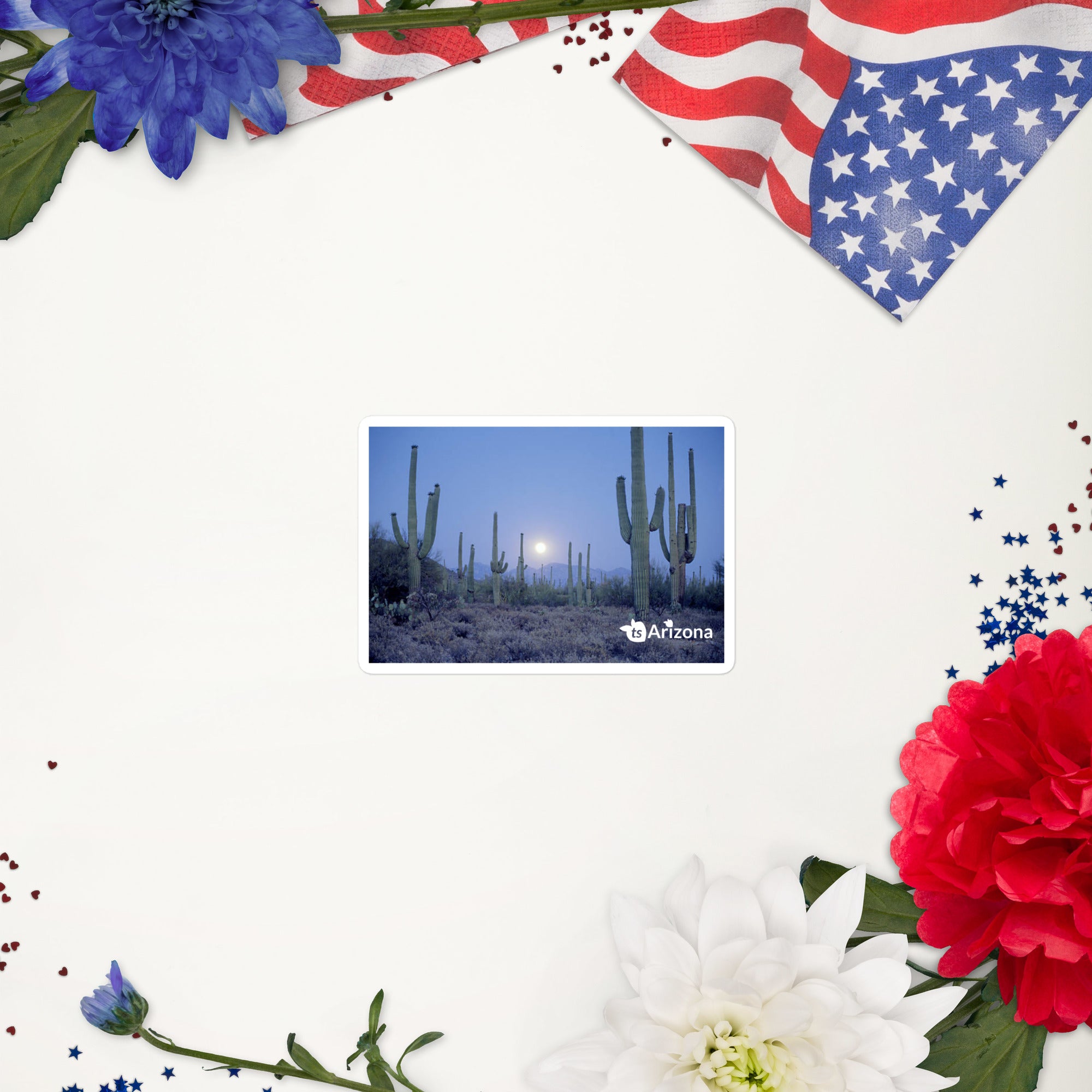 tsgabrielle® • Arizona - Saguaro National Park • Sticker Bubble-Free • 3 Sizes