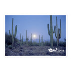 tsgabrielle® • Arizona - Saguaro National Park • Sticker Bubble-Free • 3 Sizes
