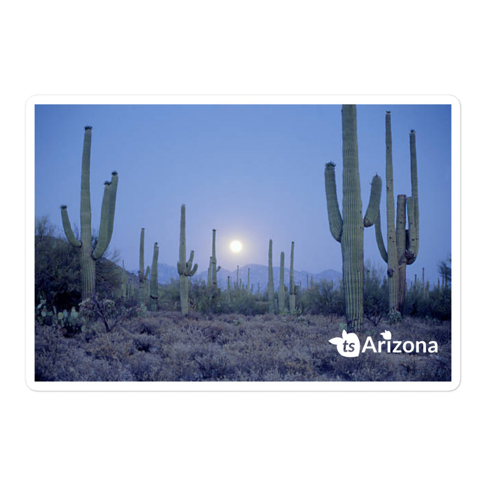 tsgabrielle® • Arizona - Parc national de Saguaro • Autocollant sans bulles • 3 tailles