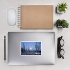 tsgabrielle® • Arizona - Saguaro National Park • Sticker Bubble-Free • 3 Sizes