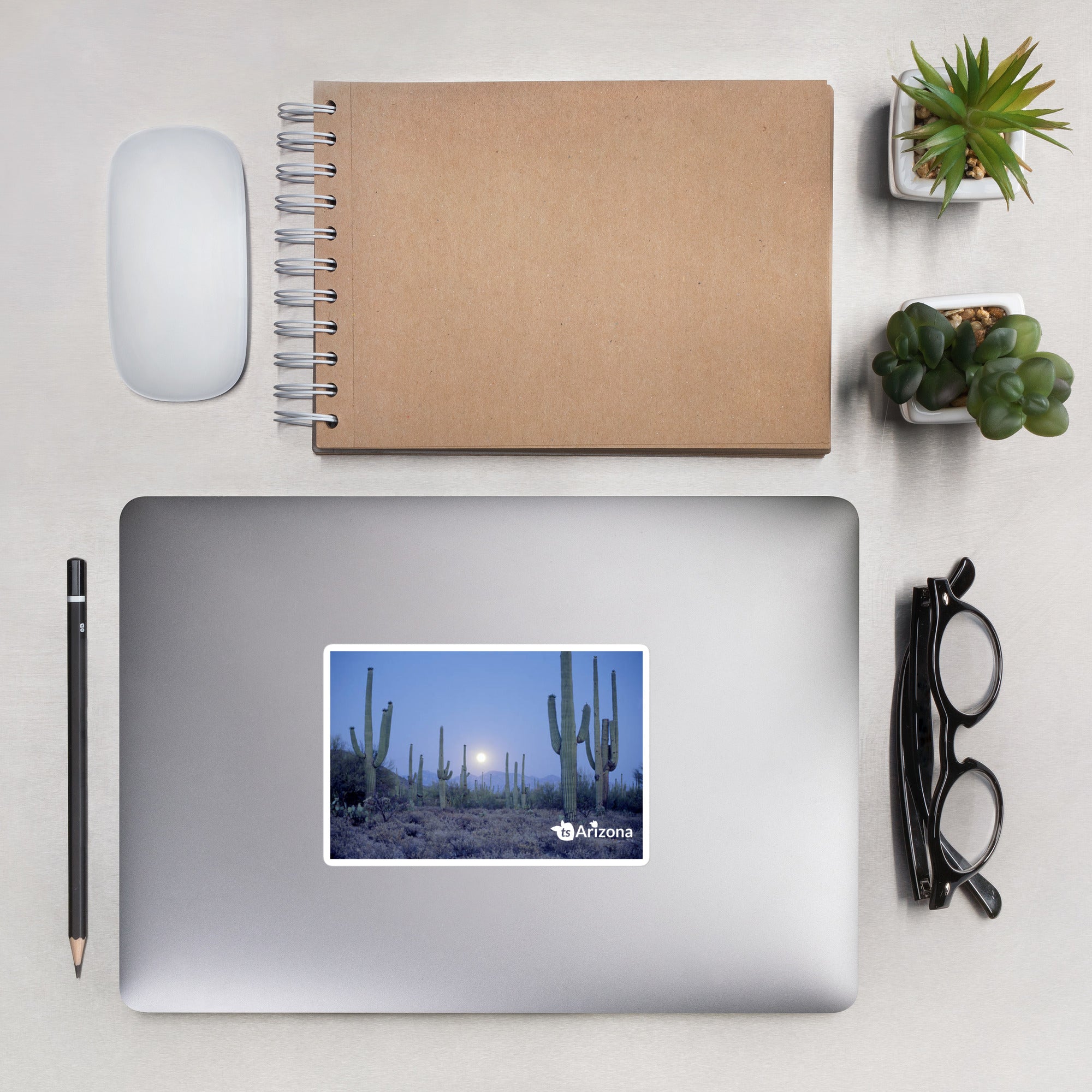 tsgabrielle® • Arizona - Saguaro National Park • Sticker Bubble-Free • 3 Sizes