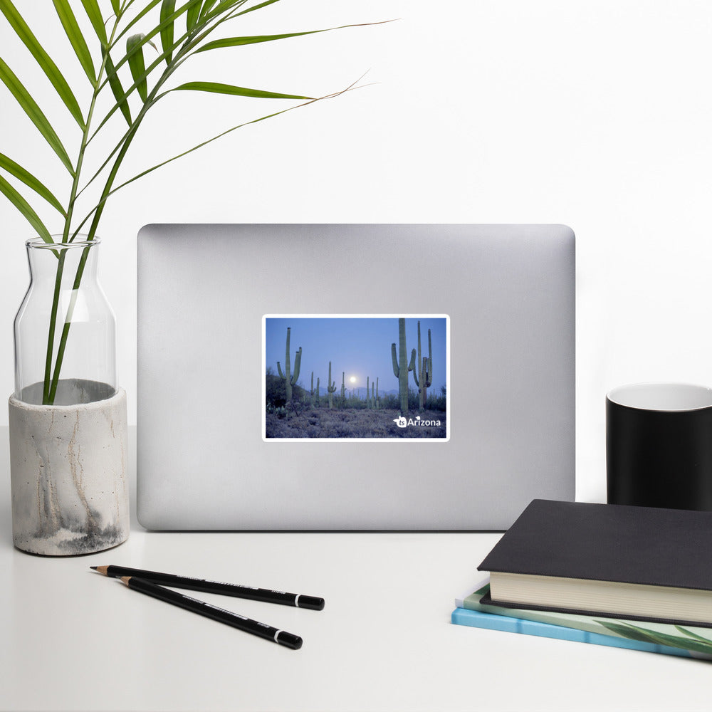 tsgabrielle® • Arizona - Saguaro National Park • Sticker Bubble-Free • 3 Sizes