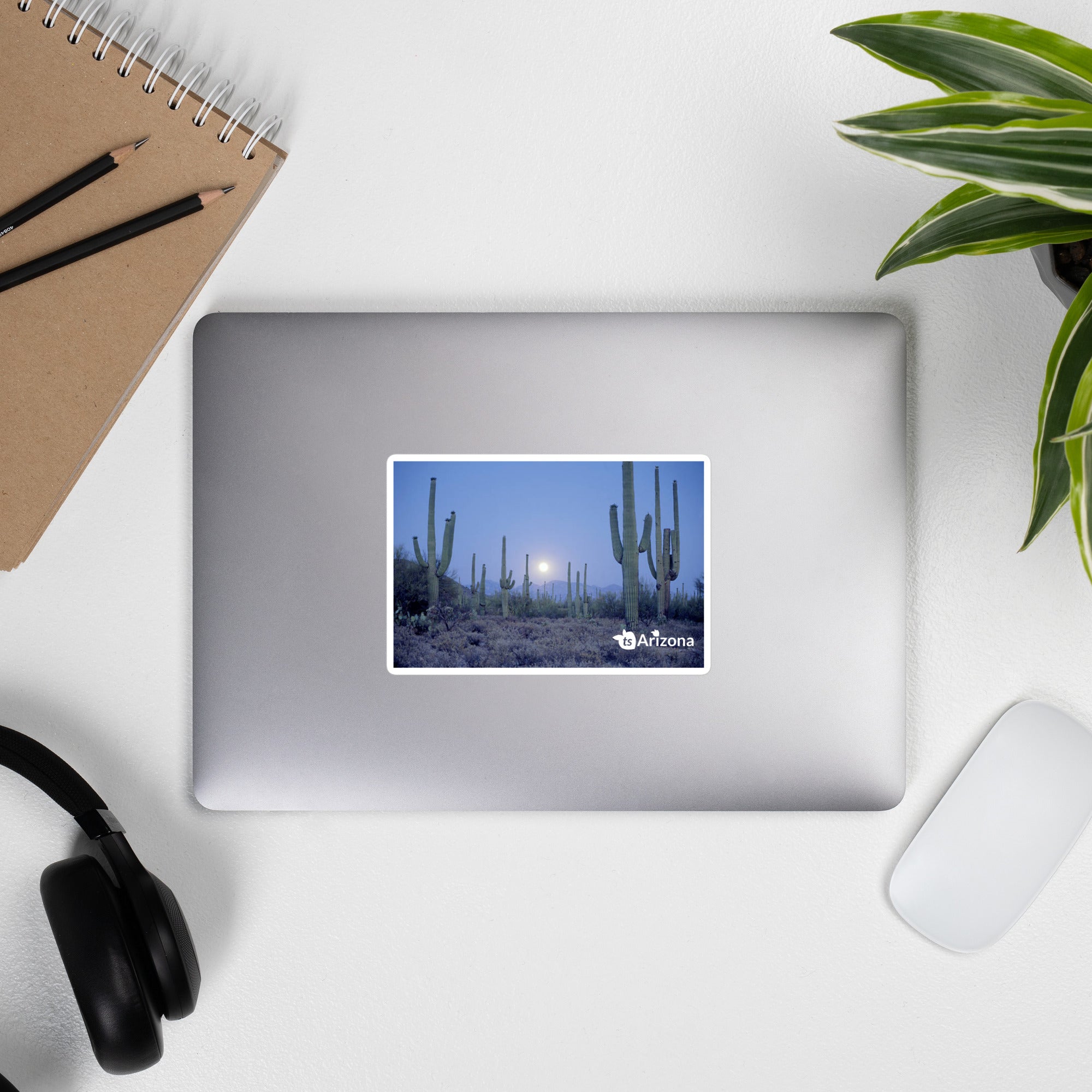 tsgabrielle® • Arizona - Saguaro National Park • Sticker Bubble-Free • 3 Sizes