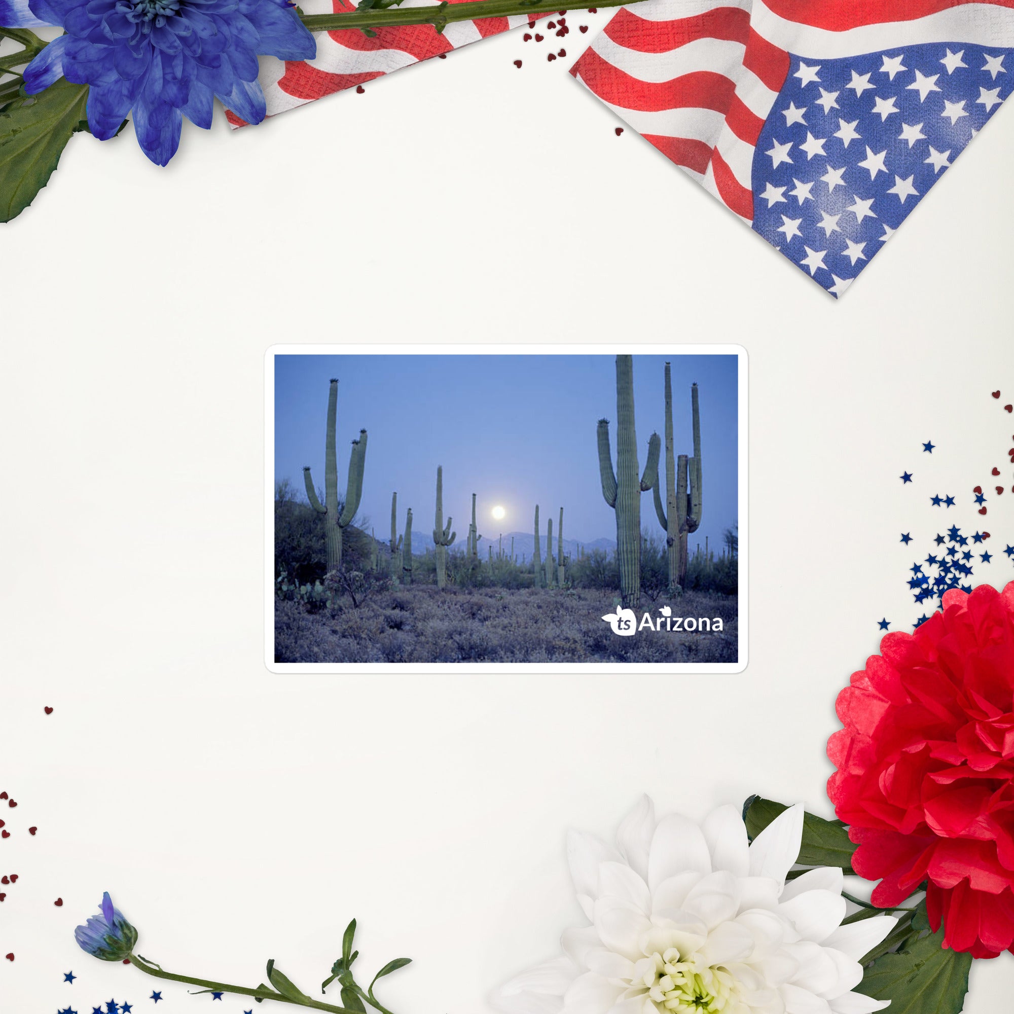 tsgabrielle® • Arizona - Saguaro National Park • Sticker Bubble-Free • 3 Sizes