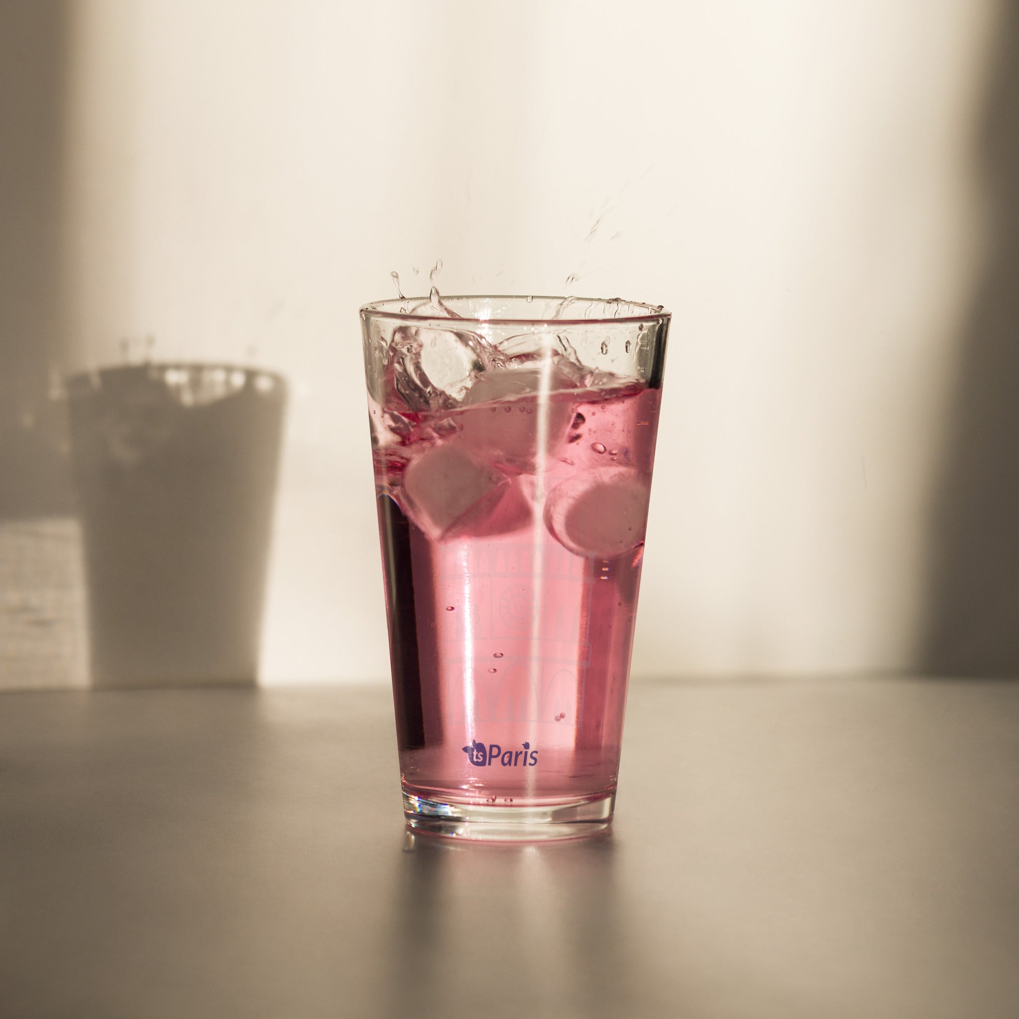 tsgabrielle® • Paris - Kathedrale Notre-Dame • Shaker-Pintglas • 473 ml