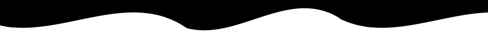 Wavy black line on a white background
