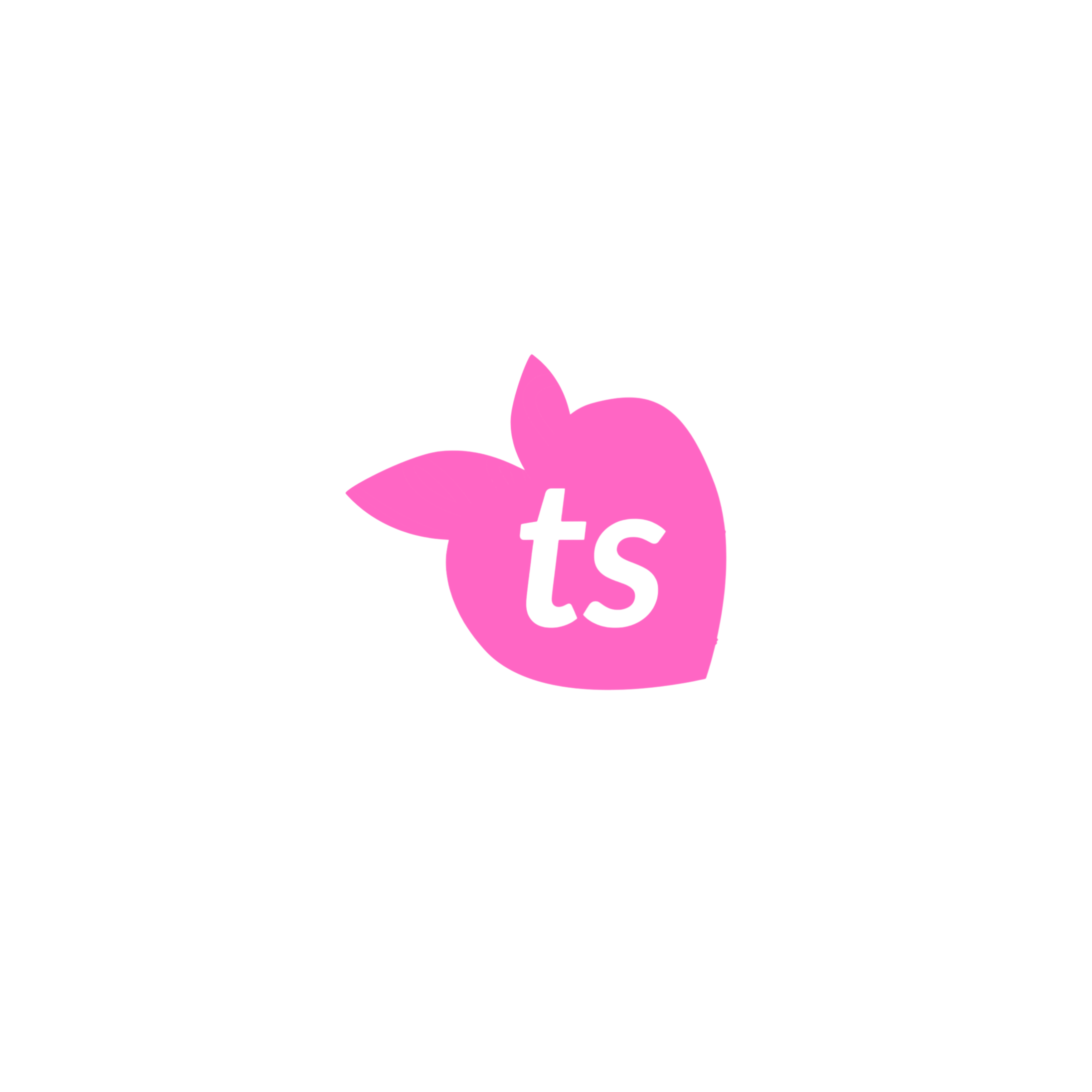 Pink logo with 'ts' on a white background