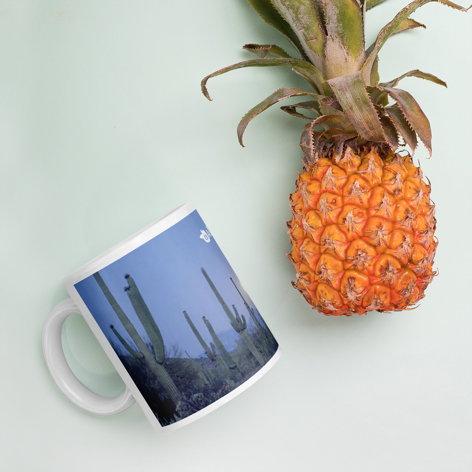 tsgabrielle® • Arizona 🌵 - At Night • Glossy Mug • Ceramic • 11 oz •