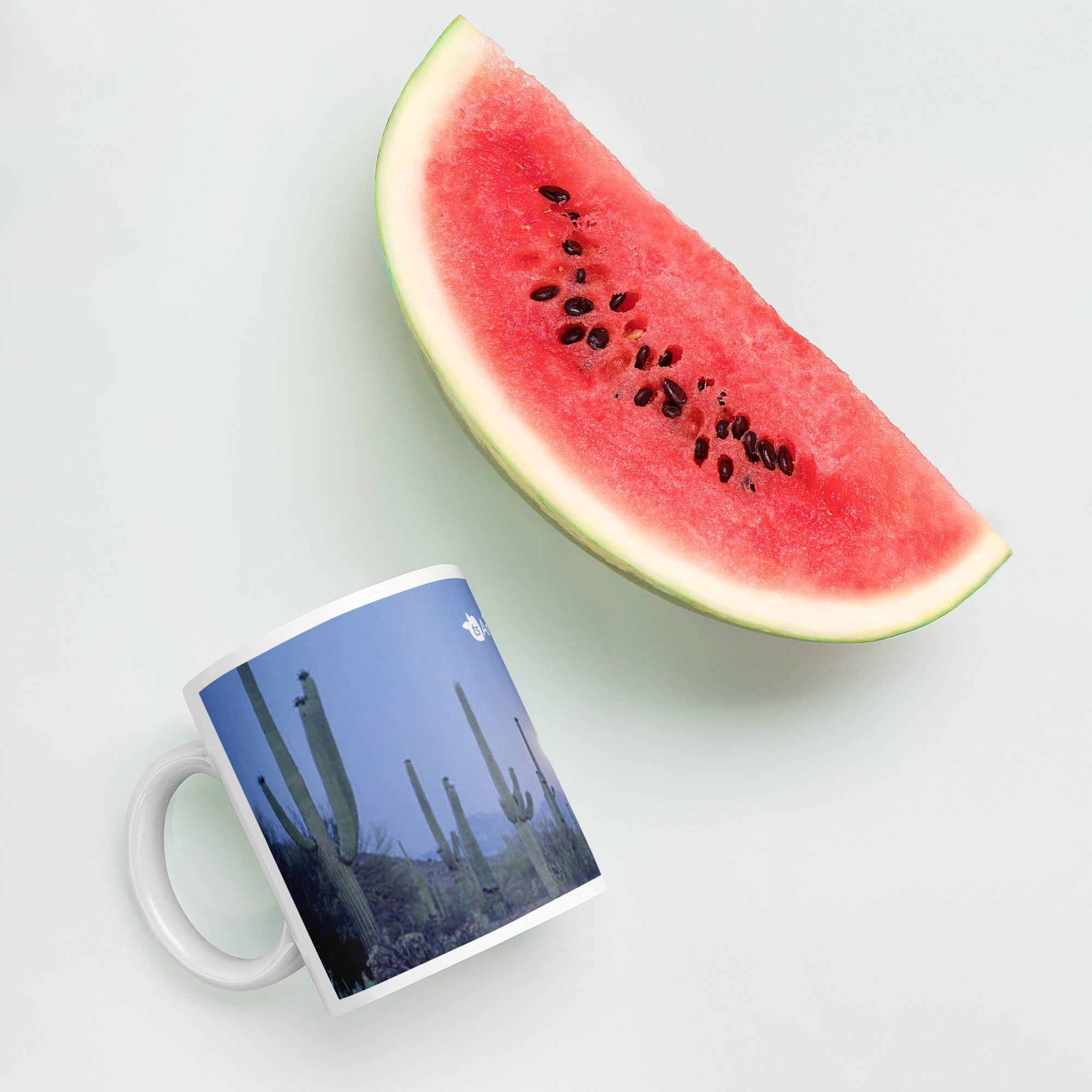 tsgabrielle® • Arizona 🌵 - At Night • Glossy Mug • Ceramic • 11 oz •